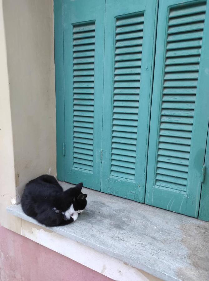 Kea Island Daire Korissia  Dış mekan fotoğraf
